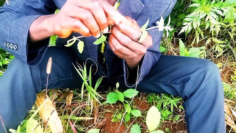 Judith xxx: У новій любові