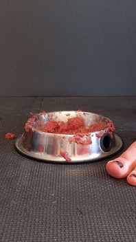 Fleisch mit rohrstock unter den füßen