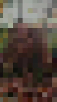 Picture Slideshow - Nude in Public