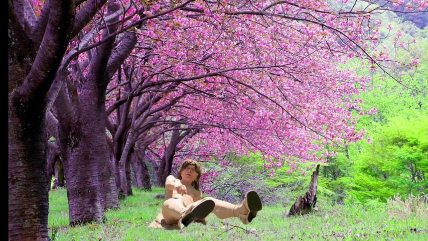 Blooming Spring (Studio Pai-chan)