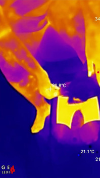 Voetenzolen worden gemalen, geboeid en gesmeerd totdat ze in glanzende glans kunnen worden geneukt, thermische pov