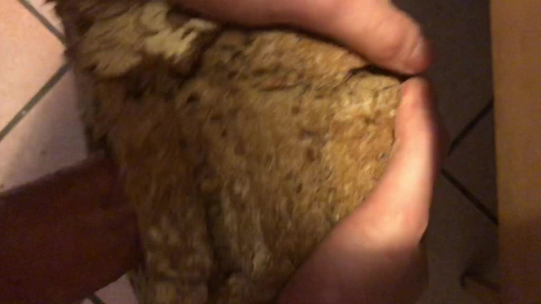 Francesco Spinozzi: Fucking bread loaf