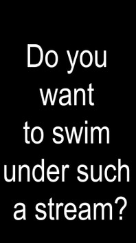Let’s Have Some Fun