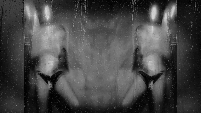 Goddess Misha Goldy: wet vip treat!