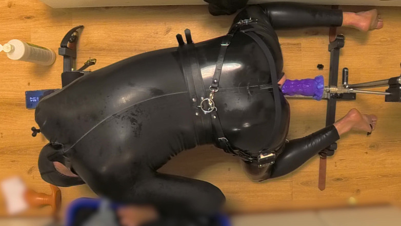 Chastitybeltboy: Banci kandang kesucian lateks di mesin seks pillory, dildo, dan...