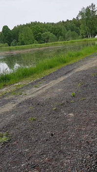 La giornata degli uomini in modo diverso: una passeggiata speciale