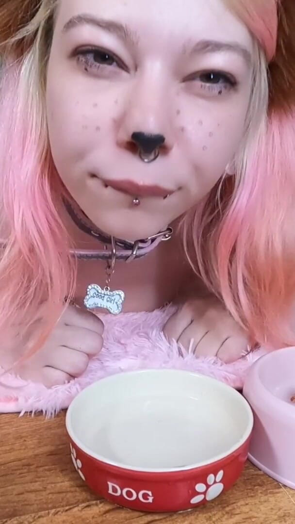 Sweet Sansarella: Cute Pet Girl Drink From Her Bowl