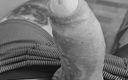 Lkdick8: Una línea de tiempo muy cummy