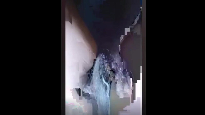 Miya White: Seks dengan Miya White