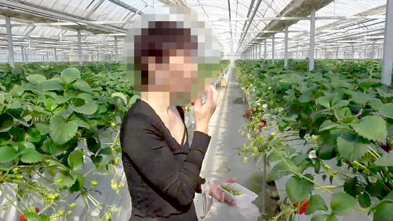 hiro_mayu_couple_jp: Mayu No.45: Strawberry Picking Exposure, Immediate Oral, Swallowing Specialization