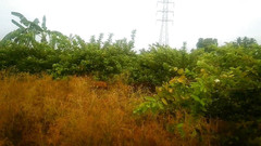 Priyanka314: Teta s klukem motor pumb nastavil prostor při sexu