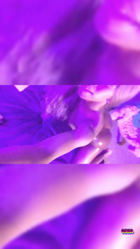 Natte Teaser