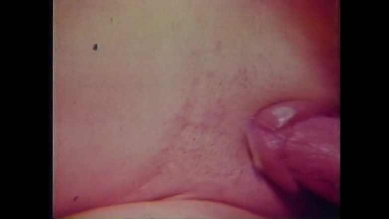 Vintage megastore: Penyedut Ayam