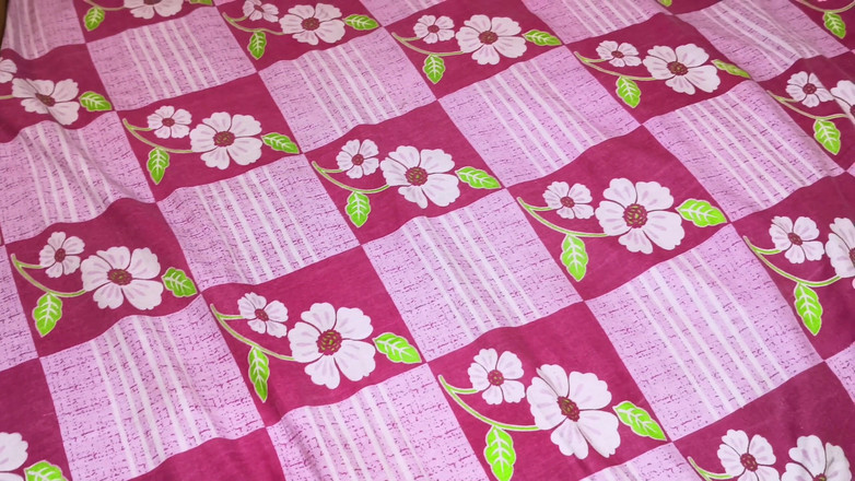 Raja puja: Filmare Vlog. Cuplu indian filmează un videoclip porno