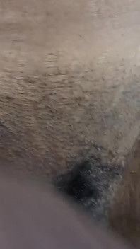 Awek panas mencukur pepeknya kemudian benarkan saya merasainya