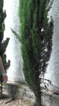 Ragazzo etero scopato da ebano senza preservativo nel cruising dell'esibizione