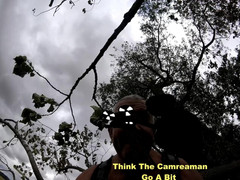 Andy: Bahagian 2 Walk 46