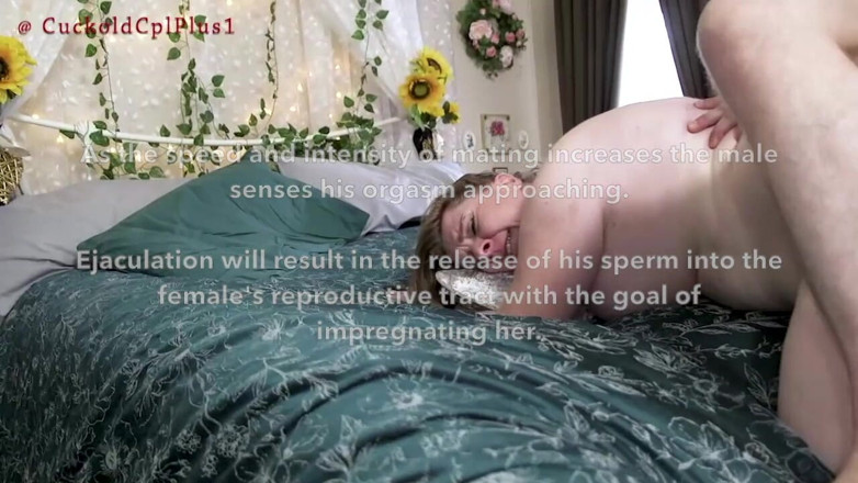 HotwifeRachel: Cuckold Fokken Documentaire. De Cuckold Luistert Buiten De Deur