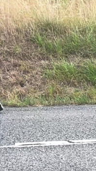 Outdoor Female Exhibitionist: Hitchhiking Flash