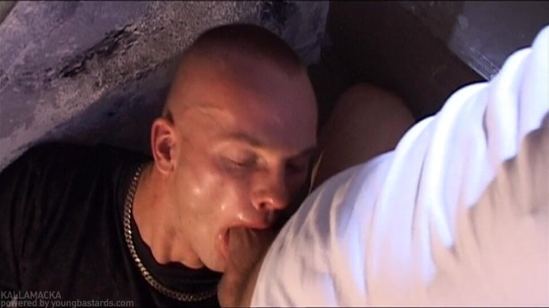 Young Bastards: Послуга смоктання покірної повії