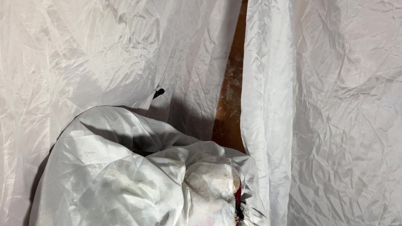 Bangcum8: My Cubby Shimale Watch Me Cum in My Sexdoll