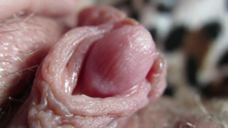 Cuteblonde666: Stor klitoris kollektion 2