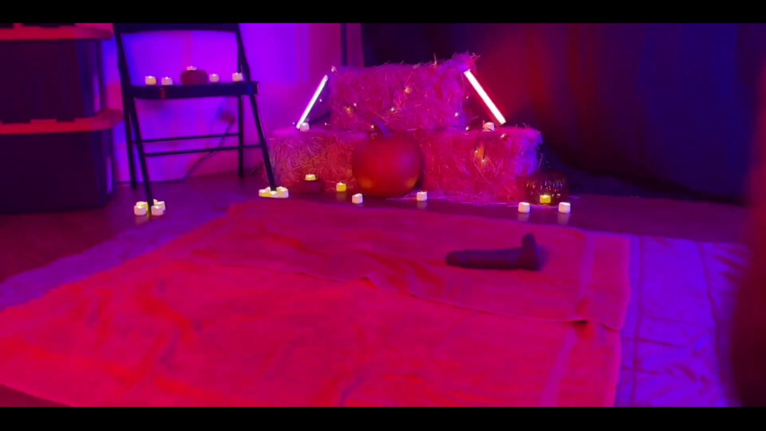 Fall/halloween Bundle (Dipso deep)