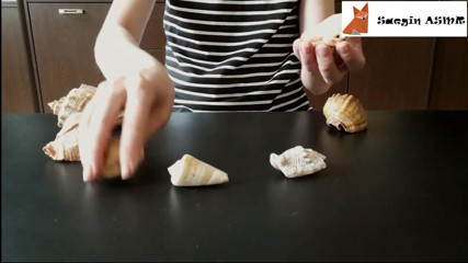 Saegin: 1[ASMR] bergesel bersama dan menggaru seashells (tiada bercakap)