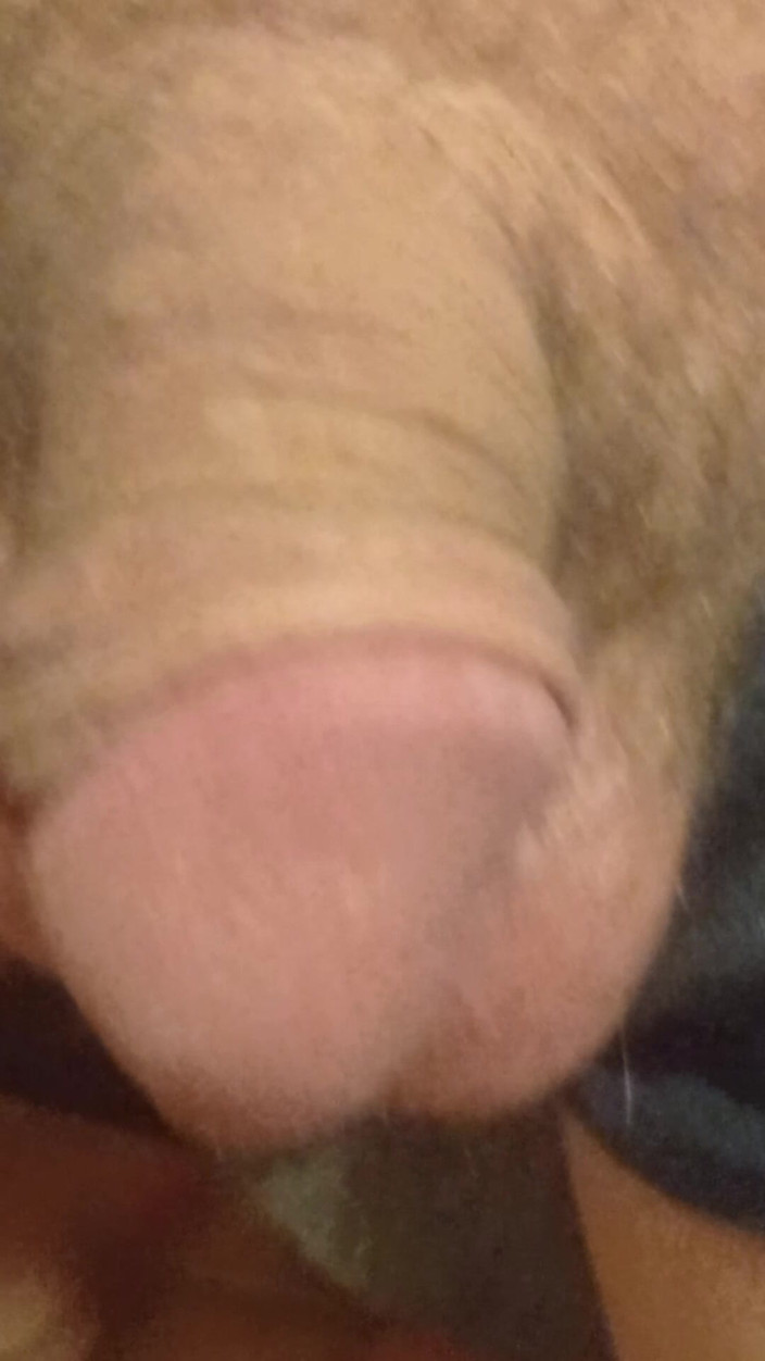 Sam home: Moji ptáci