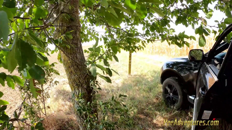 Pee Adventures: Pee in a corn field and wet her skirt
