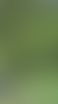 Masturbating Outside in the Woods Completely Naked, Huge Cumshot