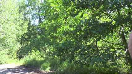 Italian Vintage Porn and MMV Clips: Lovely big ass brunette banged outdoor with her fucker