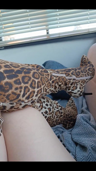  Leopard Print Boots And my weakness.