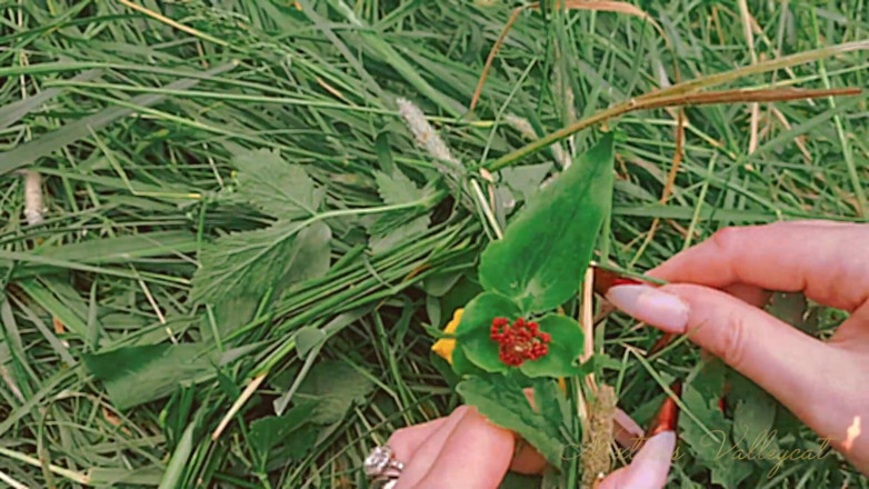 Mxtress Valleycat: Worship the Goddess of the Harvest
