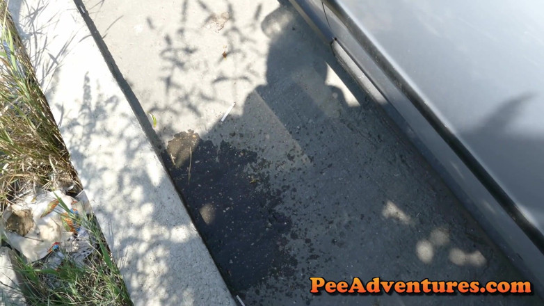 Pee Adventures: kaar men jaar men mootna aur khirki par khaali karna