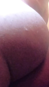 Sponge