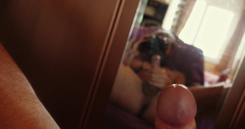 Jerking studs: Extremo close-up de pênis com tesão duro com orgasmo suculento...