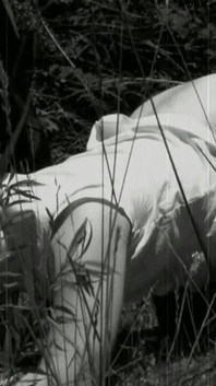 Trailer389