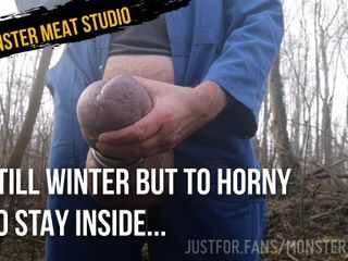 Monster meat studio: Vẫn còn mùa đông nhưng để nứng để ở bên trong ...