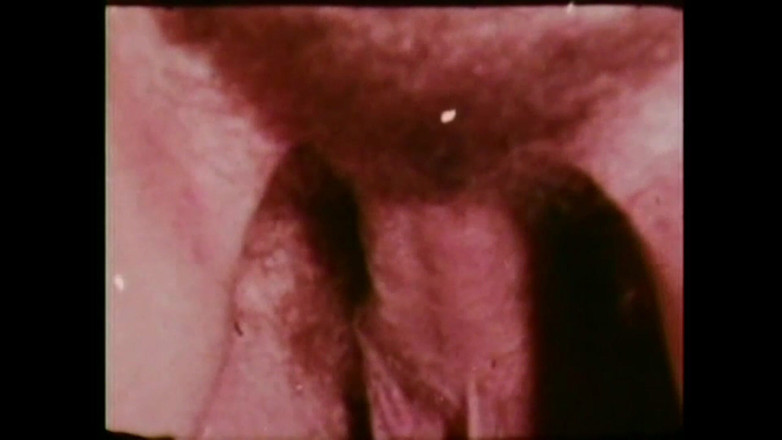 Vintage Usa: Bylo nebylo v Americe XXX - (sv. #03)