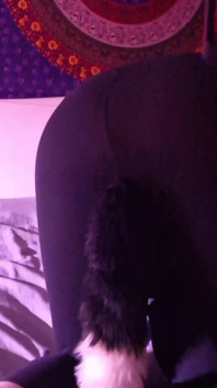 Slap Ass