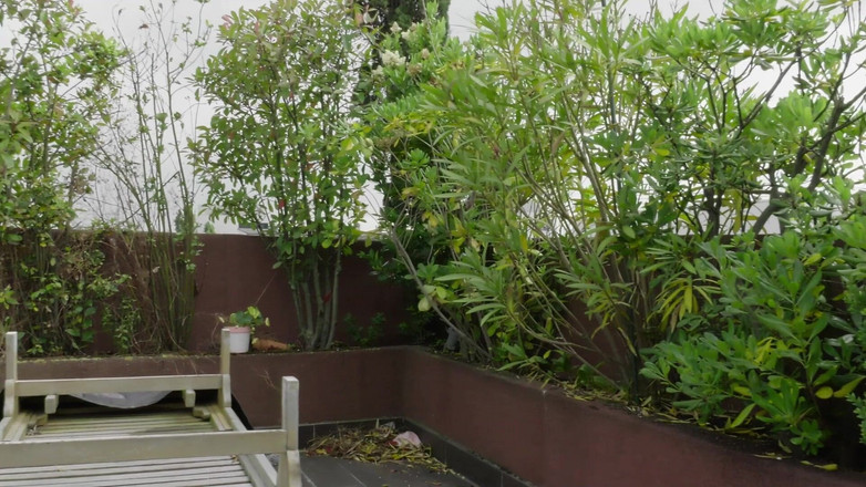 Just for boys: Pesta seks anal gila-gilaan 5713