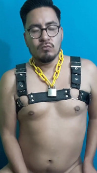 I Love Using This Harness, I Feel so Slutty!