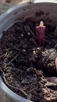 Giantess gardening enlouquecido ela planta um homem pequeno