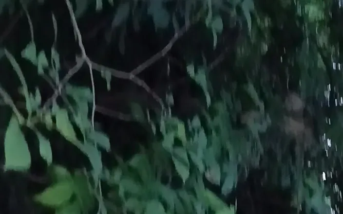 Lesbian-illusion: She Pinned Me Against a Tree in the Park and...