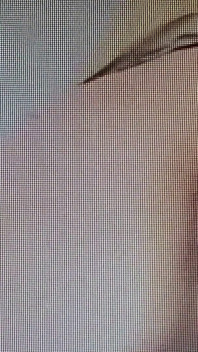 Melitta Cam - curvă în galben sexy