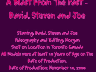 The Great Canadian Male: A blast from the past - David Steven Joe
