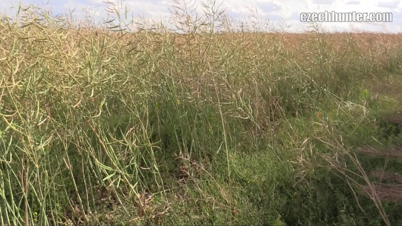 Czech Hunter: Amatör öğrenci yarağı gırtlağına kadar alıyor