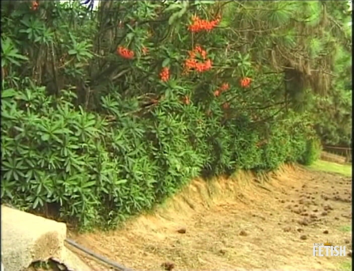Gay Diaries: Two muscular gays fuck young dude with tight ass outdoor