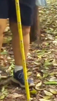 แม่บ้านในวันหยุด, เดินแก้ผ้าในป่า เปิดโปงตูดเซ็กซี่และนมใหญ่ของเธอ